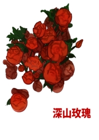 深红玫瑰1
